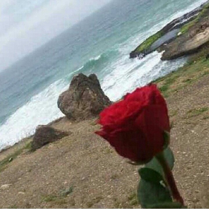 رغوده (@rimh0987) on Twitter photo 