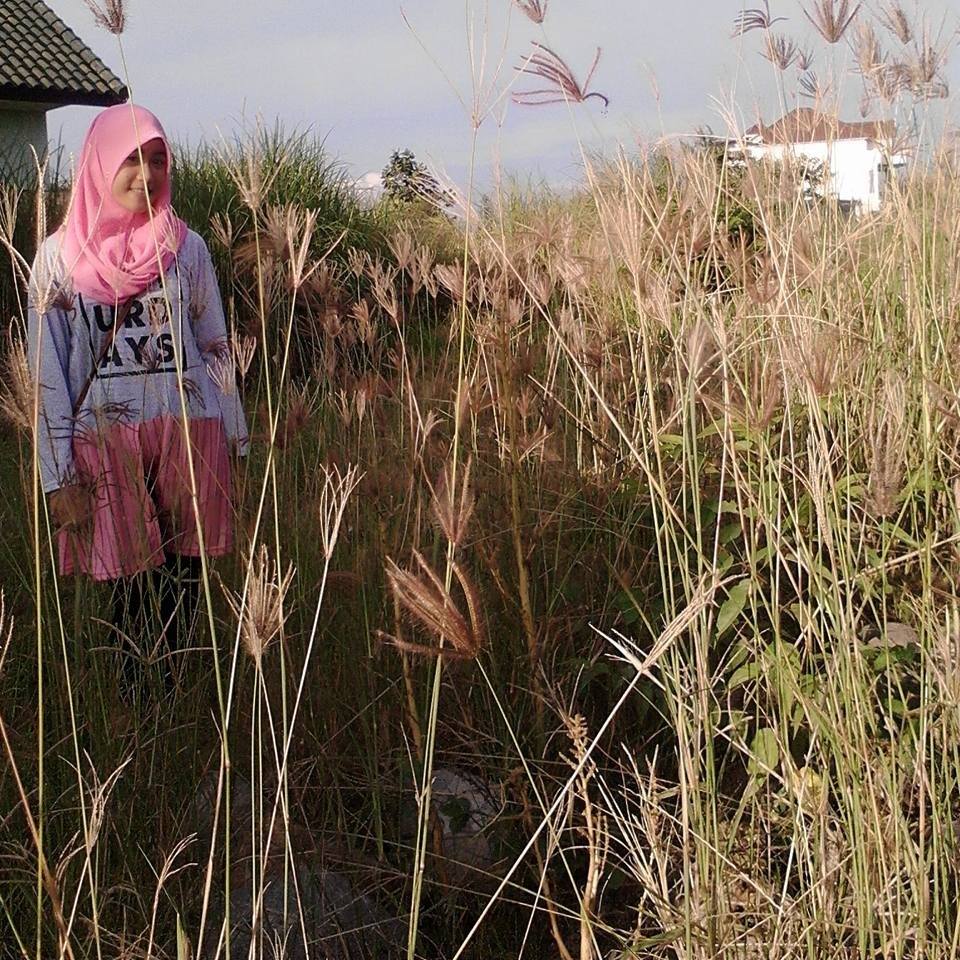 sofiyya_comate's tweet image. 