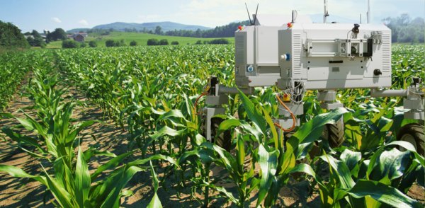 RWW's tweet photo. [NEW POST] IoT grows crops best, but still too pricy for farmers https://t.co/24Fe6x1yHz 

#IoT #AgriTech #farming https://t.co/cpQY6KF4Zp