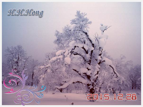 아침엔 겨울 이야기만 한 것 같아서...이번엔 겨울 눈 내린 모습 올립니닷. 울나라의 태백 가는 길과 함께 태백산의 어느 눈 내린 풍경.....