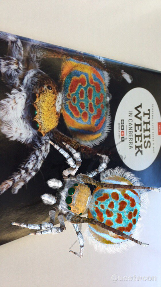 #spiders <a href="/Questacon/">Questacon</a>