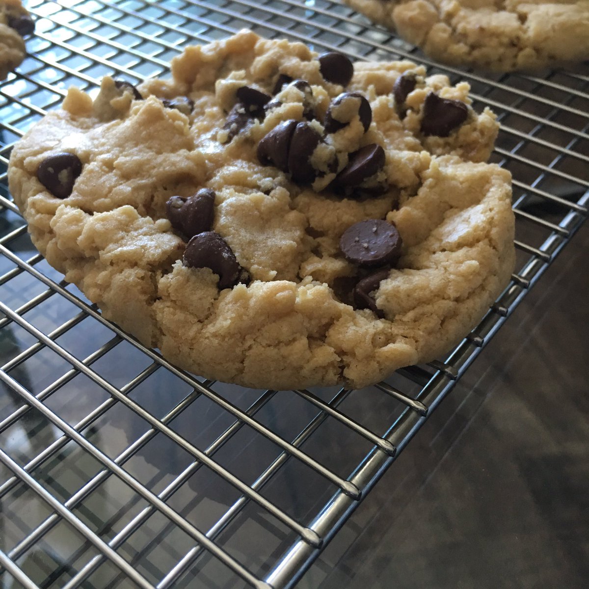 Archangelcin's tweet photo. National chocolate chip cookie day today. We participated, naturally https://t.co/PETVKj4XsE