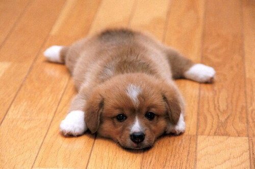 Roxdanda's tweet photo. cute naman ng bebe na to <3 https://t.co/VneuJveENV