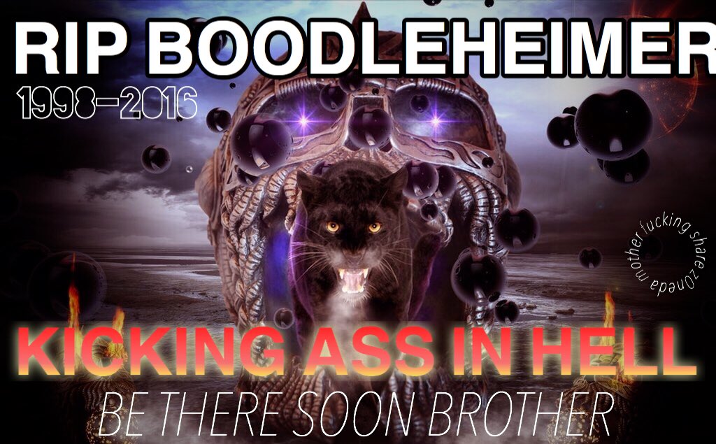 WE RIDE TOGETHER WE DIE TOGETHER BAD BOYS FOR LIFE