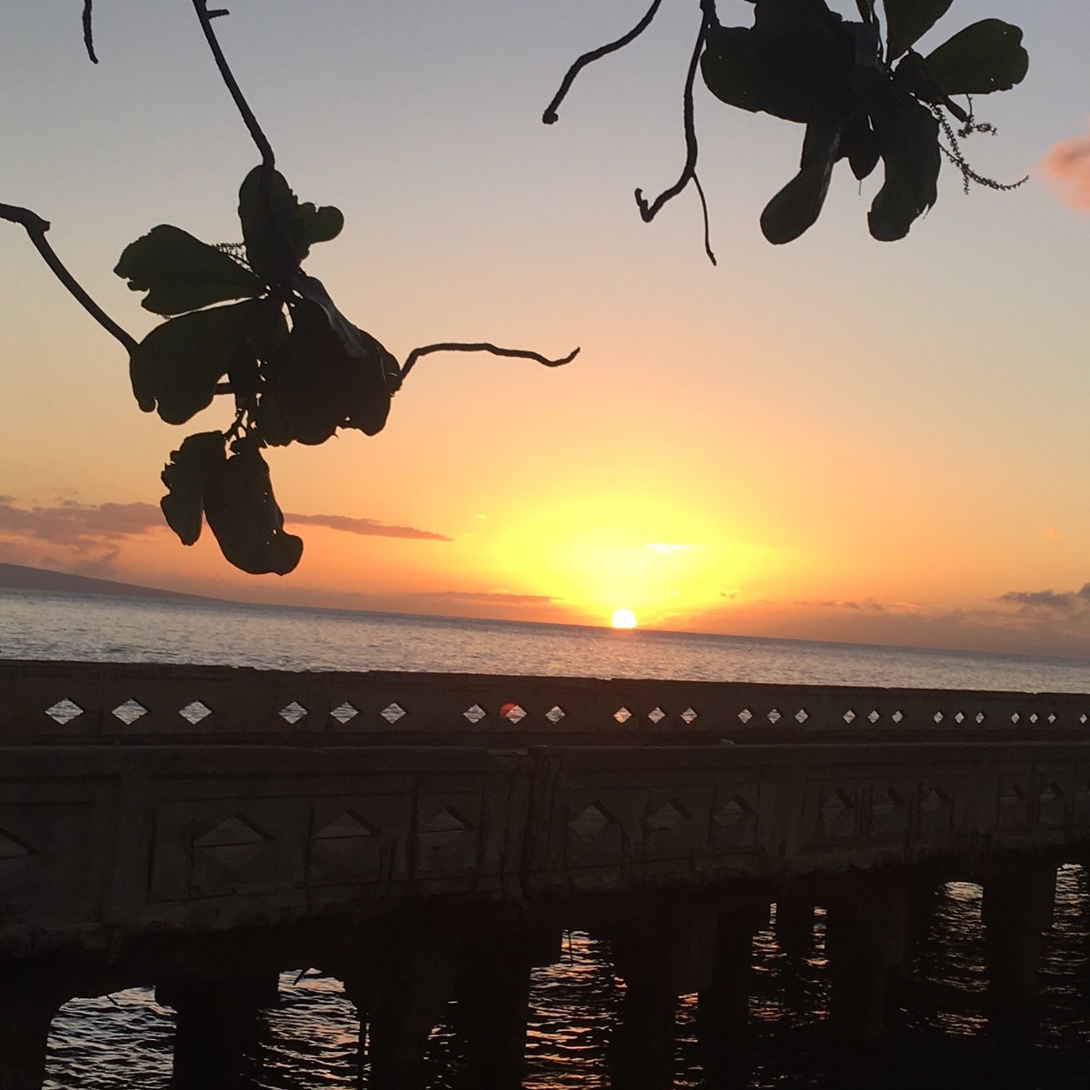 UltimateAddict1's tweet image. Today's Maui Sunset