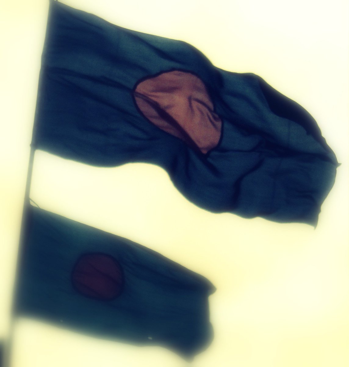 SquadRestricted's tweet photo. #NationalFlag #Bangladesh 
#salute
#photography
Snapper: #restricted
Like us at FB: https://t.co/Fc3mvh7kPk https://t.co/6v2beWvnAI