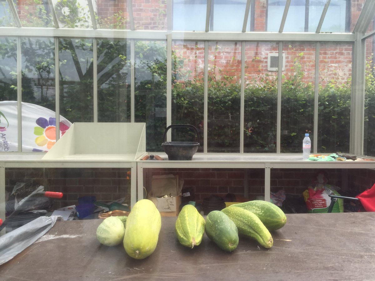 goQcumber's tweet photo. Out with my cousins #goQRadio #cuteas #squash #cutecumbers https://t.co/cKoxuwS9if