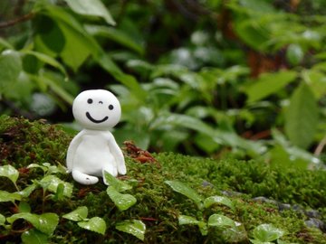 もののけ姫 聖地巡礼 ロケ地 舞台 アニメロケツーリズム巡りの場所や方法を徹底紹介 旅する亜人ちゃん