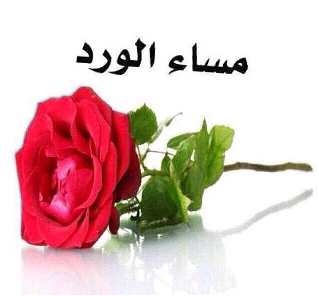 ya_3bas's tweet photo. https://t.co/Ol5IhIgExR
