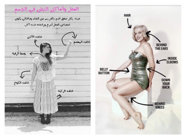 أهم المناطق التي يجب وضع العطور والدهون و المخلطات او الزيوت العطرية لدى المرأة