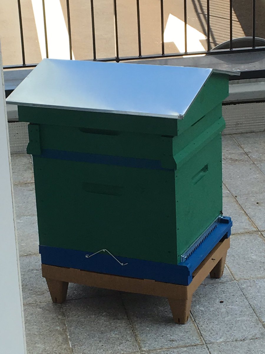 ThTrouve's tweet photo. Installation de nos nouvelles pensionnaires (abeilles noires) au siège de #GRTgaz Citizen @APIGAZ #biodiversite https://t.co/buWq86IBxG