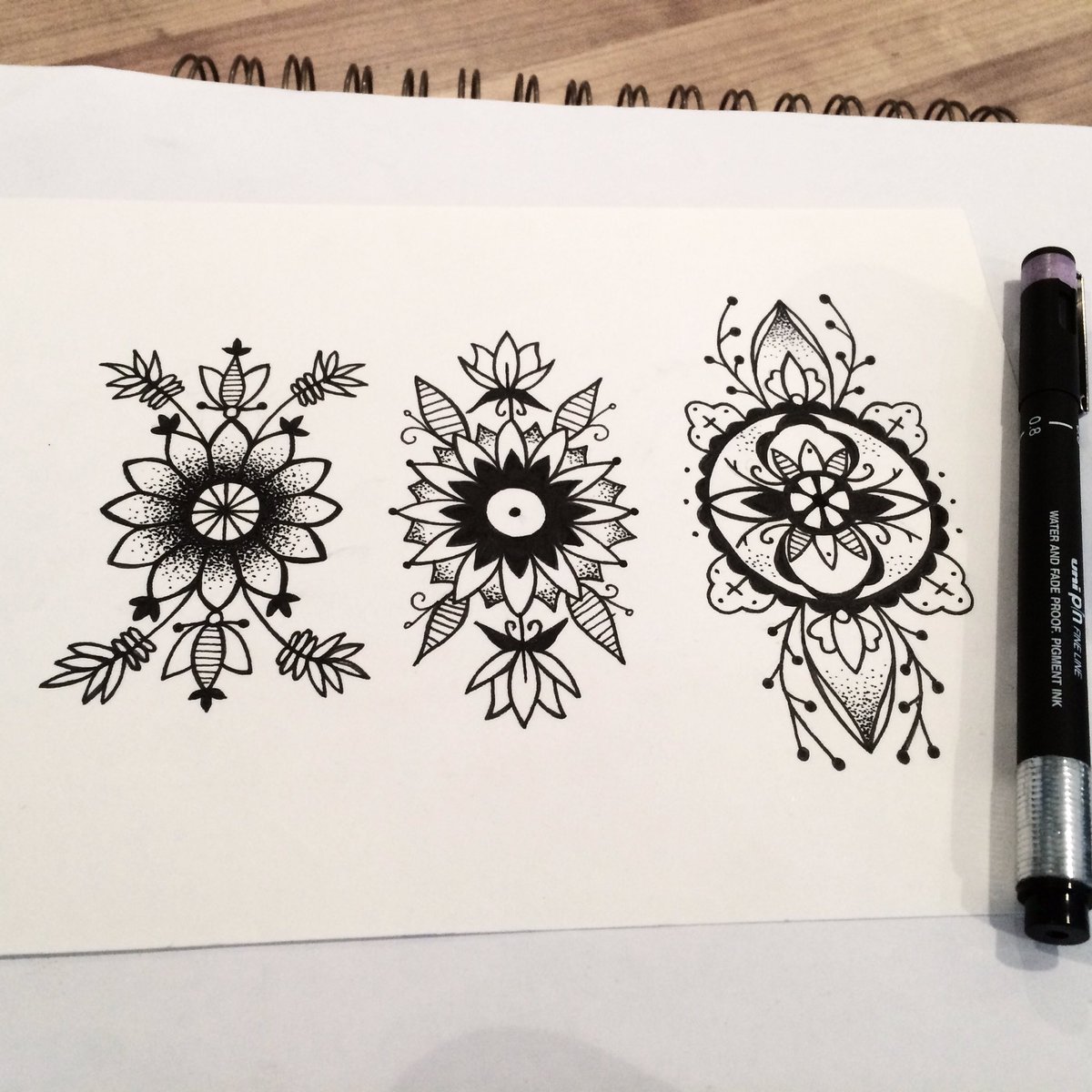 Little Fern tweet media