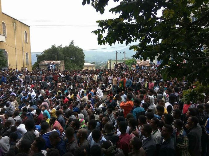 View image on Twitter