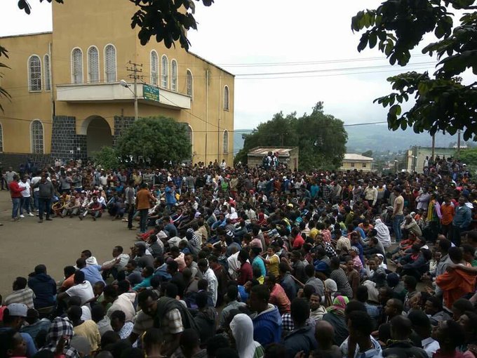 View image on Twitter