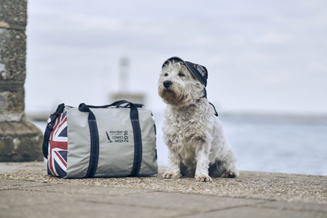 Have you packed your bags for <a href="/cowes_week/">Cowes Week</a> that gets underway tomorrow? #CowesWeek 6-13 August
