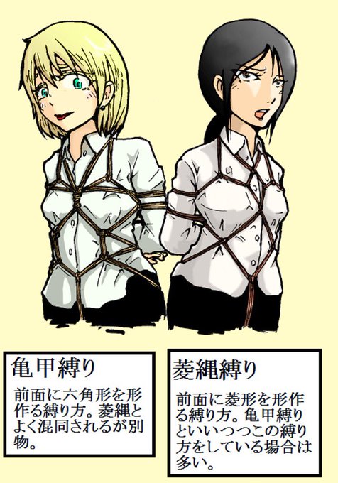 亀甲のtwitterイラスト検索結果 古い順