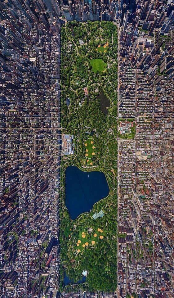 TweetLlkeAGuy's tweet image. NYC from above looks unreal