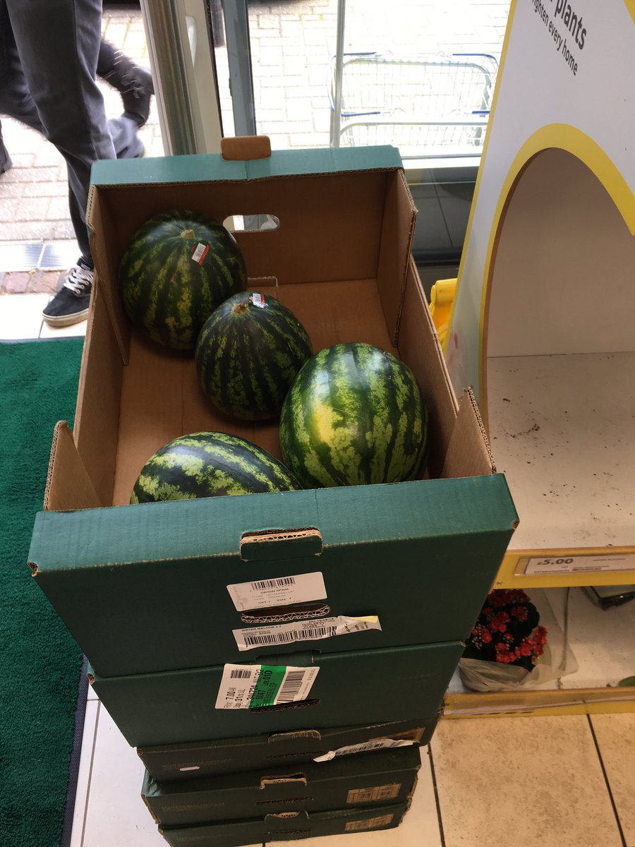 GillsSteve's tweet photo. @TheGillsFC Would you like to buy some water melons? #AskJE https://t.co/wX9pCbqRft