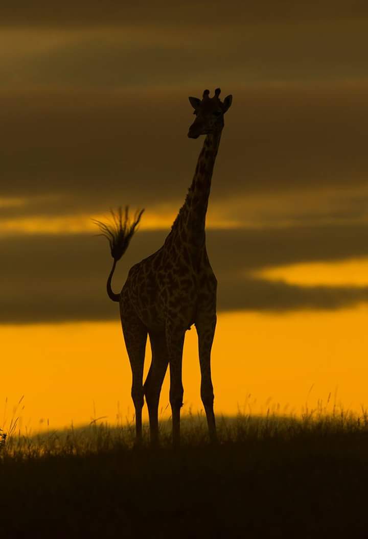Spectacular views only in Africa