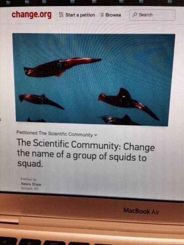 CauseWereGuys's tweet photo. What a time to be alive https://t.co/rGR8focgJU