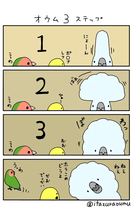 ふんわりオウム 