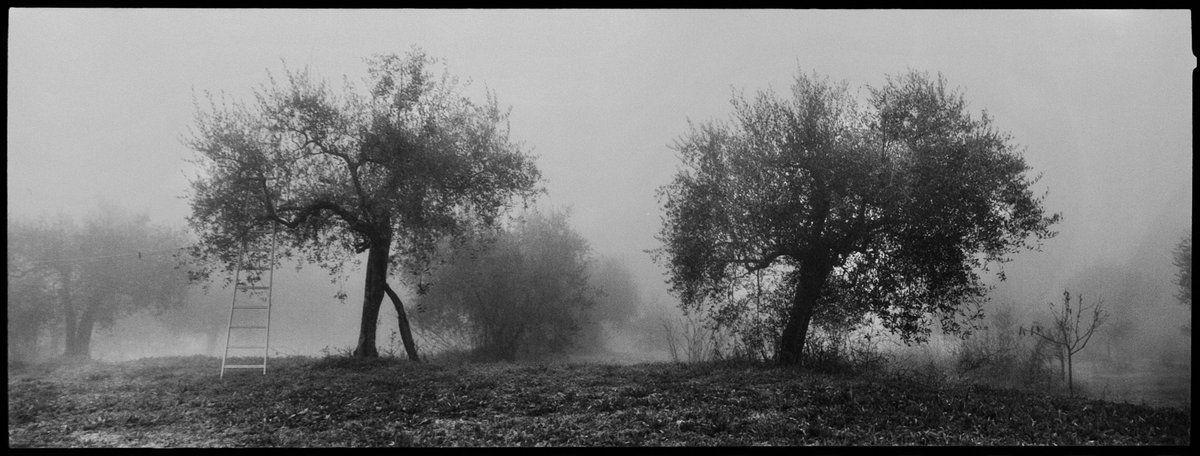 #DanieleVita presenta il lavoro fotografico MADRE TUSCIA domani 6/8 h.18.00 - #ValentanoFotografia 2016 #gtartphoto