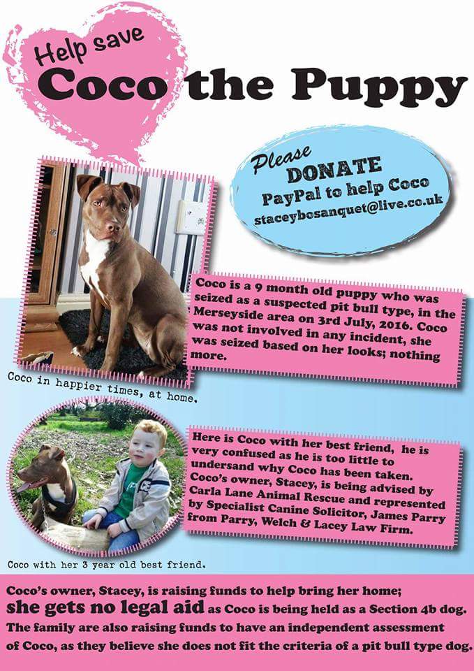 TeaMilkNosugar1's tweet photo. #saveCoco #BringCocoHome #endBSL No Legal Aid allowed to fight this injustice! https://t.co/A6JKE8rlf7 @VictoriaS https://t.co/fhB57Cig9O
