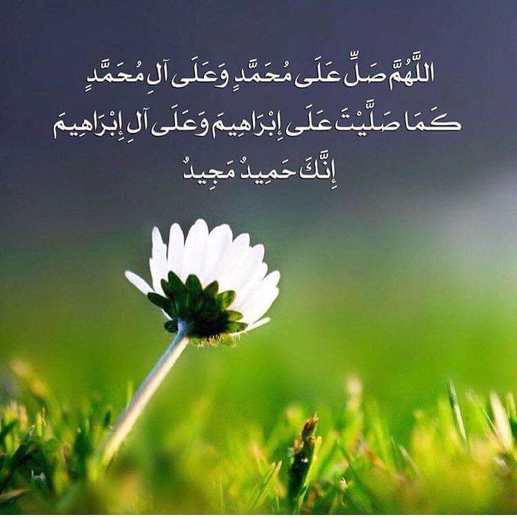 nmajaff's tweet photo. https://t.co/7PhYFyADTq