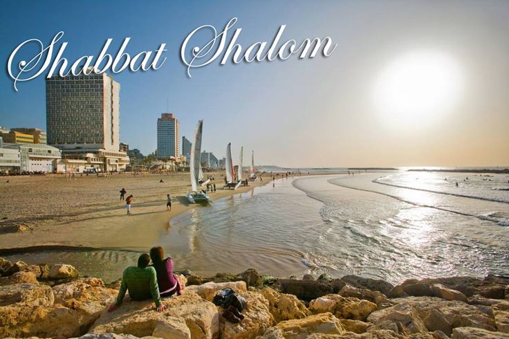 WINDOWS OF JERUSALEM tweet media