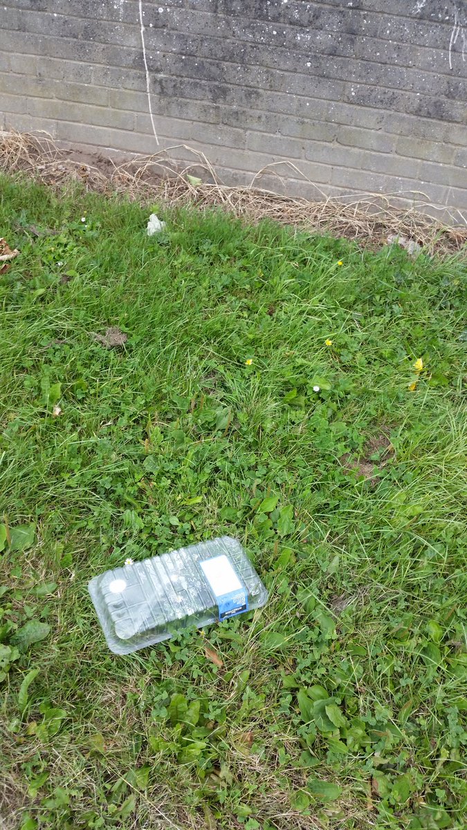 Steve McStepherson tweet media