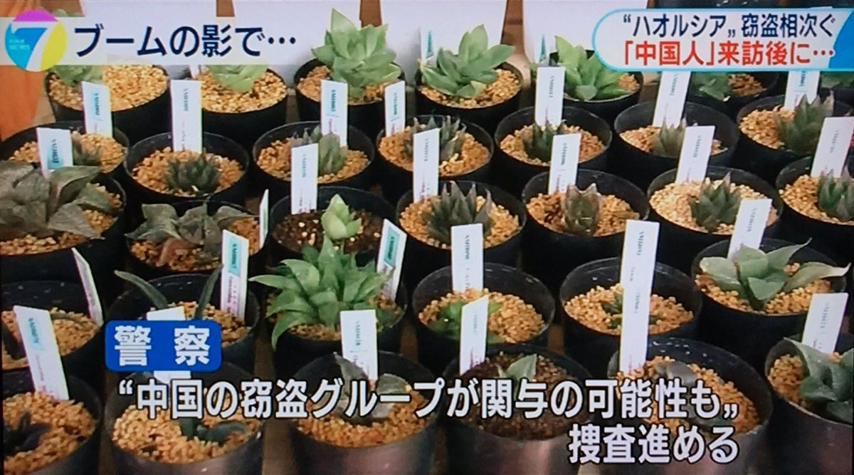 中国人窃盗団 Twitter Search Twitter 中国人窃盗団 Twitter Search Twitter