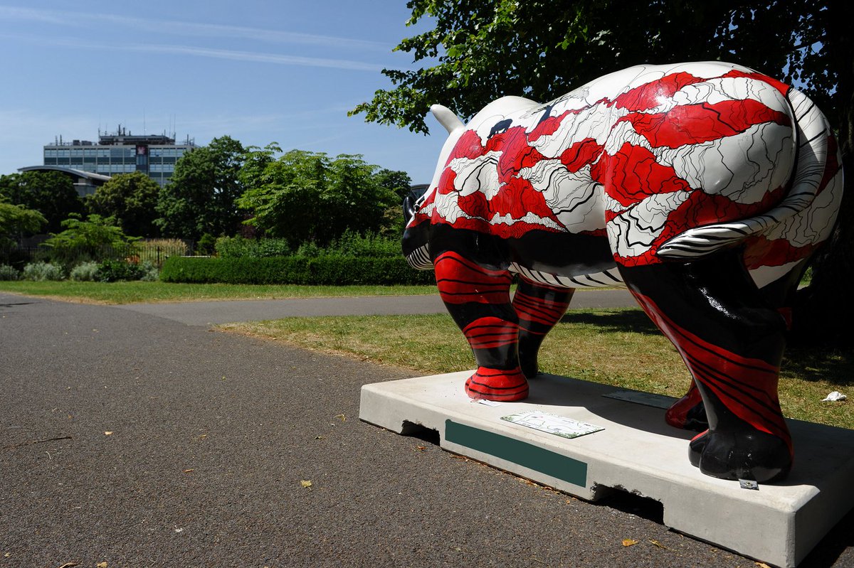 SolentUni's tweet photo. Rhinos to zebras! In 2013 we had Rohan watching over campus and now we have Sam :) #Southampton #FlashbackFriday https://t.co/7WFh4moXkM