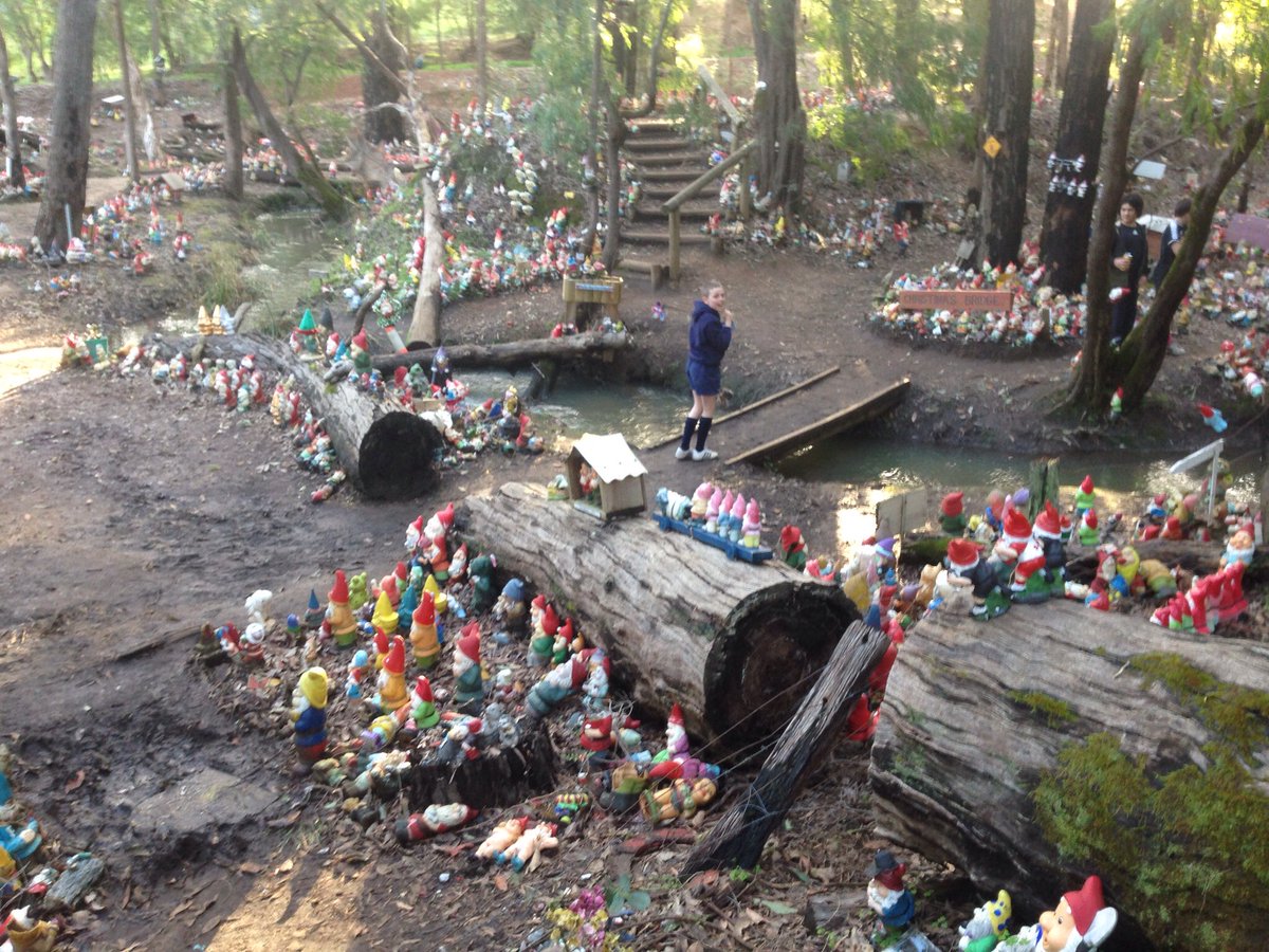 old_gmac's tweet photo. Stop at Gnomeville on way home from weekend jnr rugby carnival... Grown since last visit. This a fraction of gnomes https://t.co/623wtZ0mn8