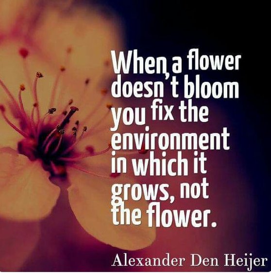 WeAreTeachers's tweet photo. #MorningMotivation https://t.co/BIXWFCnj9Q