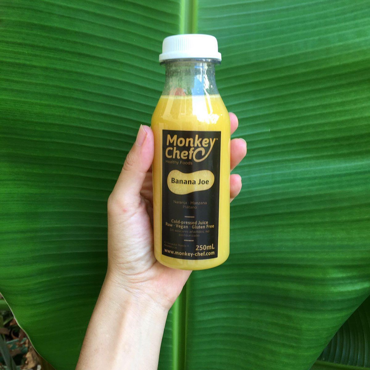OrganicoBox's tweet photo. Zumos frescos por todo #Marbella 🍹🍊🍋🍊🍋 Energía al instante. Llama a #MonkeyChef 👉🏽 630651291 🐒🚲 https://t.co/hfbCmk5djq
