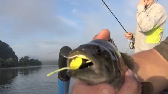 FieldandStream's tweet photo. Watch as the #HookShots crew embarks on a 15 hour float down the Susquehanna River: https://t.co/eyecBUxTuF #Fishing https://t.co/aUkFFfJtge