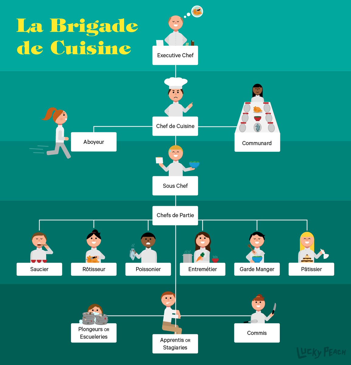 Brilliant Restaurant Kitchen Organizational Chart Hierarchy R And Intended For Restaurant 