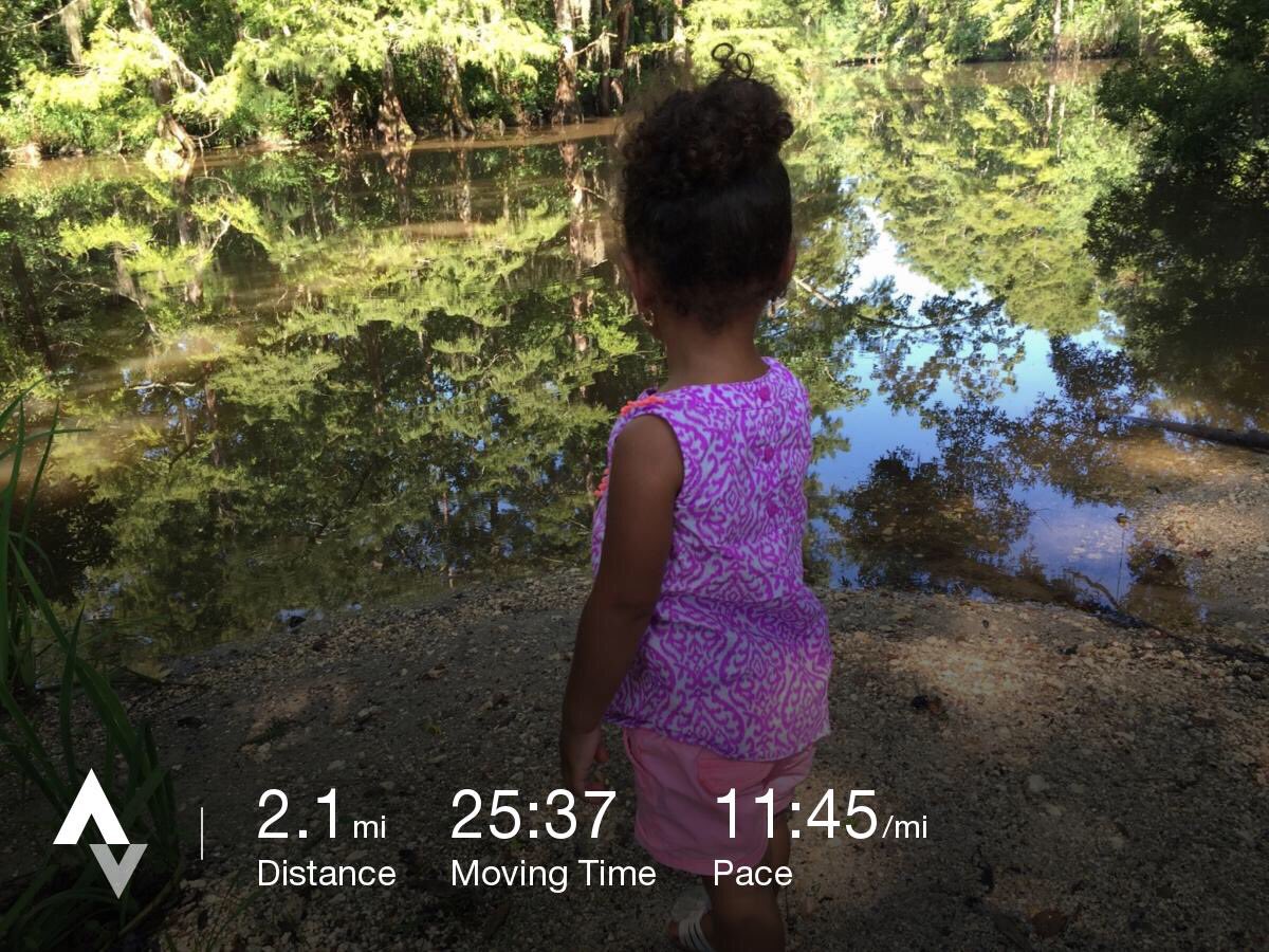 lil_Steffy30's tweet photo. Morning miles w the ballerina ๐ #strata #stravarunning #StrollerAP #earhathon https://t.co/q3AQcWxe2k