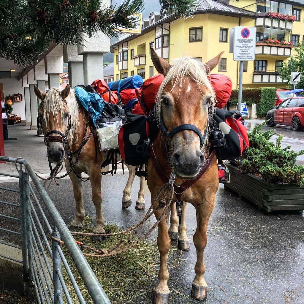 Parkverbot gilt nicht für durchreisende Pferde- Abenteurer! No #parking #fee for #horse #adventurer s - seen in #wi…