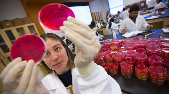 Women in Science workshops to focus on mentorship. bit.ly/2arEkX1 #UNL #LNK #IANRSciLit