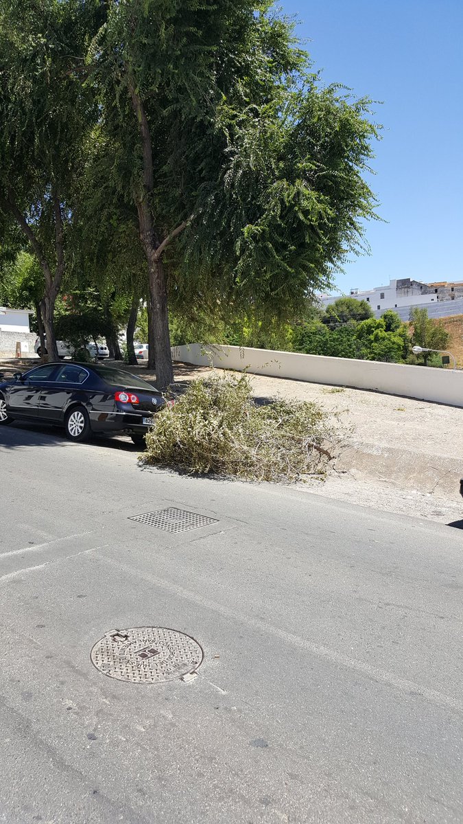 David_Climaco's tweet photo. Buenas tarde,rama de árbol tirada en la carretera impidiendo el tráfico,calle arco de la carne. Gracias @LimancarSLU https://t.co/ITAc4ABWsI