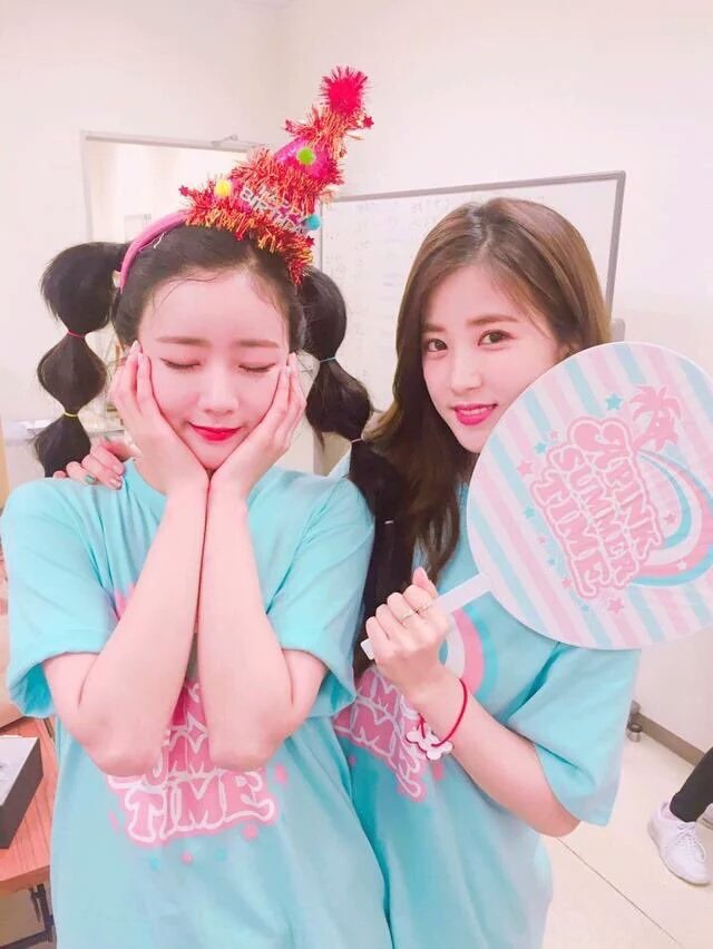 apink06_s's tweet photo. チョロンちゃんとボミちゃんまじこのコンビ可愛すぎる♡ https://t.co/F5AsgkBzsG