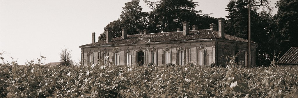 ResSelection's tweet photo. Cette semaine chez Réserve #Chateautourpibran #DomainedesMalandes https://t.co/2KDjWK8vMQ https://t.co/c7vadssyfb