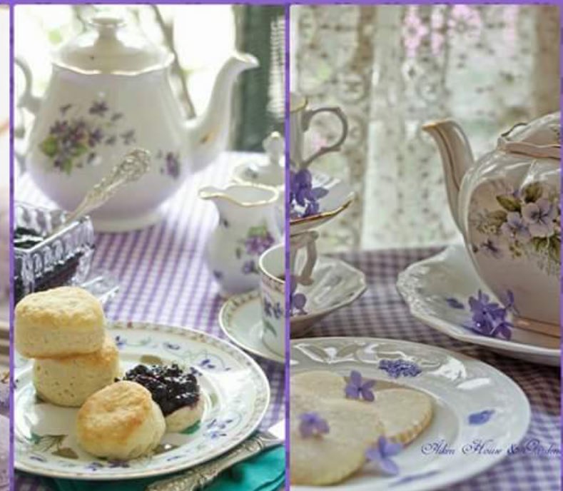 Monica Cates tweet media