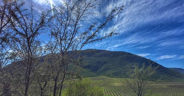keepingursanity's tweet photo. Just Pinned to KYS on Instagram: Road Works! Lots of stops on the way to Montagu time for … https://t.co/toW6OL8rxv https://t.co/nHvKmqgLKF