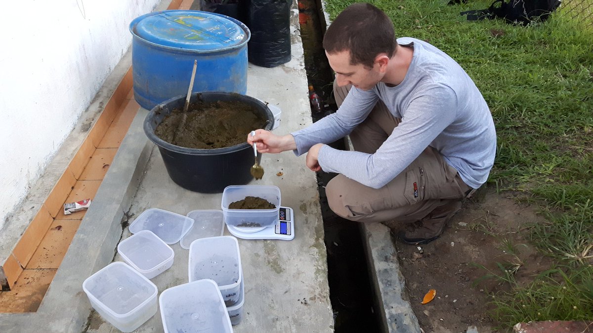 EleSlade's tweet image. New dung convert @BEFTAproject researching #ecosystemfunctioning in #riparianreserves #Sumatran #oilpalm #dungisfun