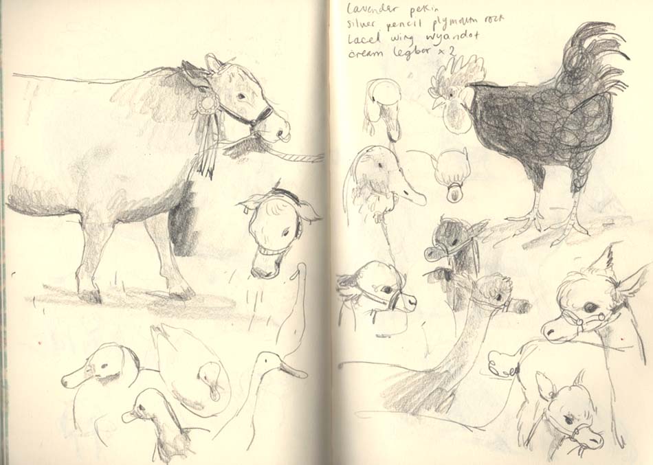 BrionyMaySmith's tweet image. #Honitonshow Some sketches from the Honiton Show!