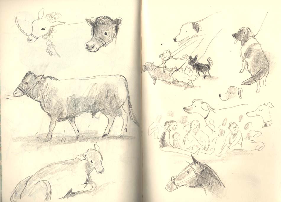 BrionyMaySmith's tweet image. #Honitonshow Some sketches from the Honiton Show!
