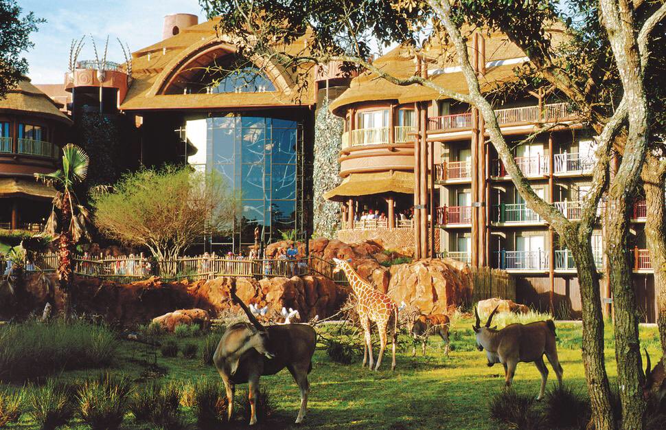 NVhols's tweet photo. Animal Kingdom Lodge 🦁
The adventure of a jungle safari comes alive before your eyes. Free Disney Dining included! https://t.co/rYV0xJqGsH