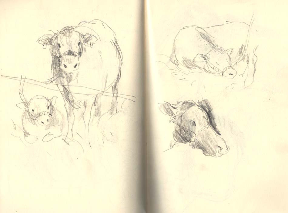 BrionyMaySmith's tweet image. Sketches from the Honiton show! #honitonshow #sketchbook Also, I have instagram now! instagram.com/brionymaysmith/